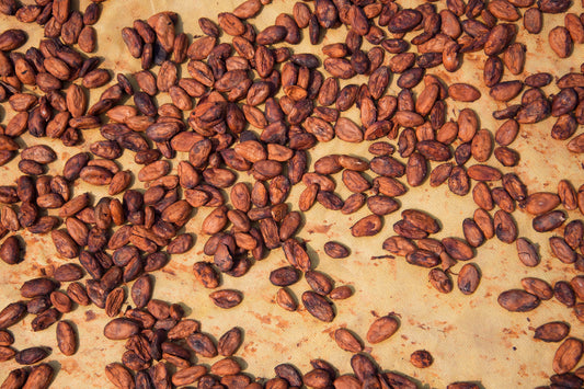 Check out these cacao benefits supported by scientific studies cited below!