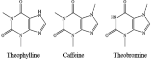 Natural Alternatives to Coffee