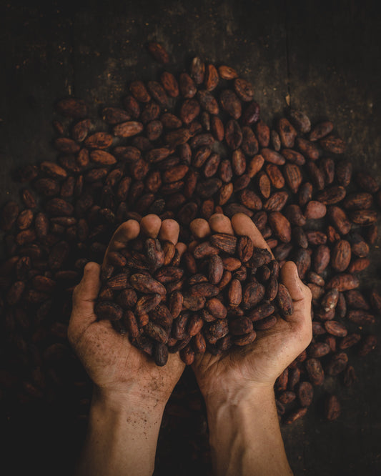 What is Cacao?