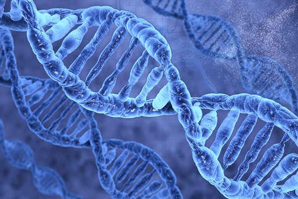 How to Slow Aging – What the Research Shows