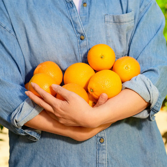 Refreshing Juice Shot Recipes With Citrus