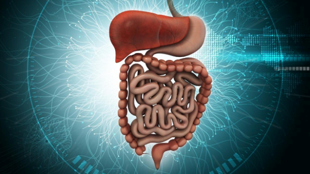 10 Tips on How to Improve Digestion Naturally