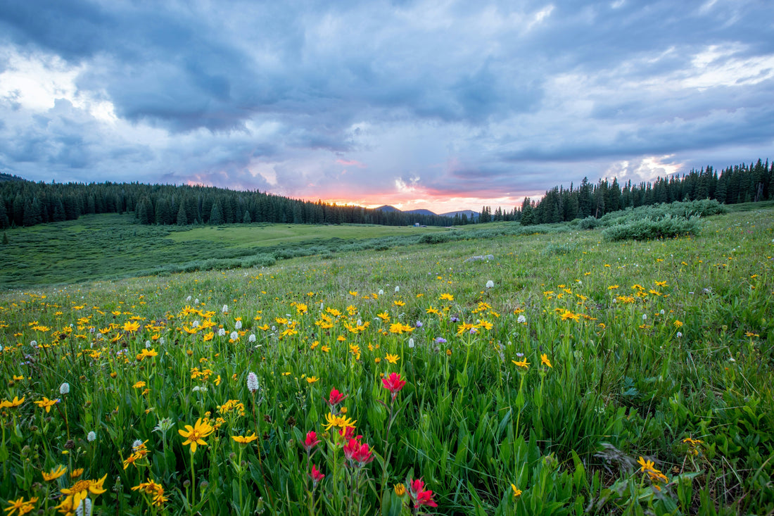 Why Your Wellness Routine Should Change With the Seasons