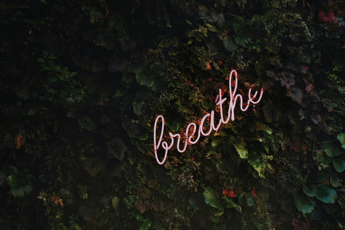 The Art of Meditation: Practices for a Balanced Life