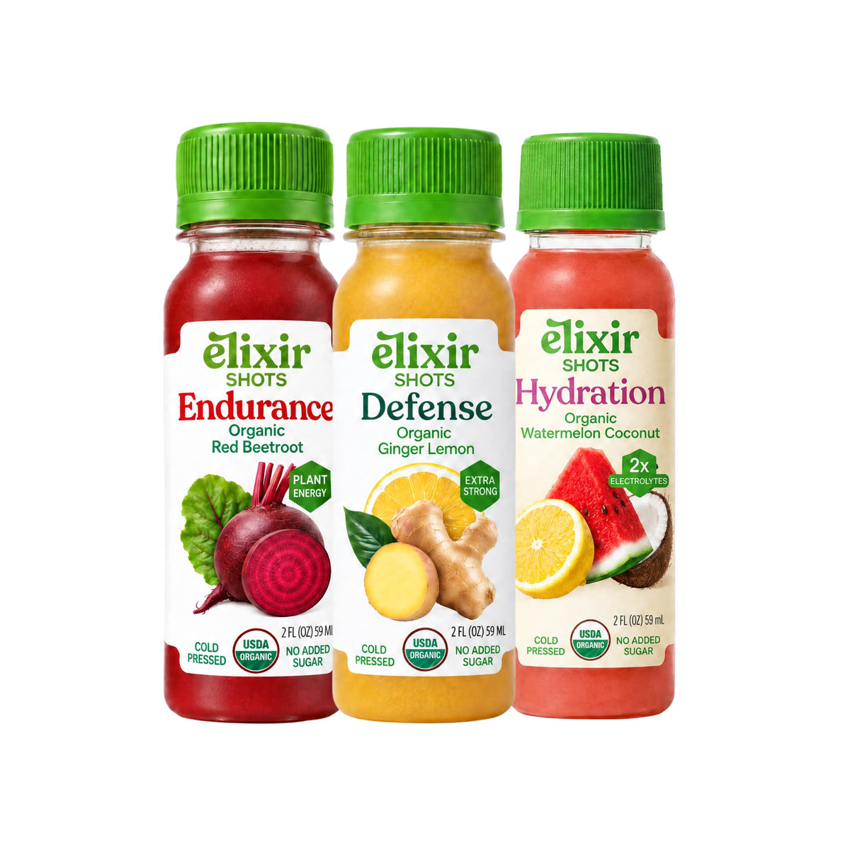 Train & Recover Bundle