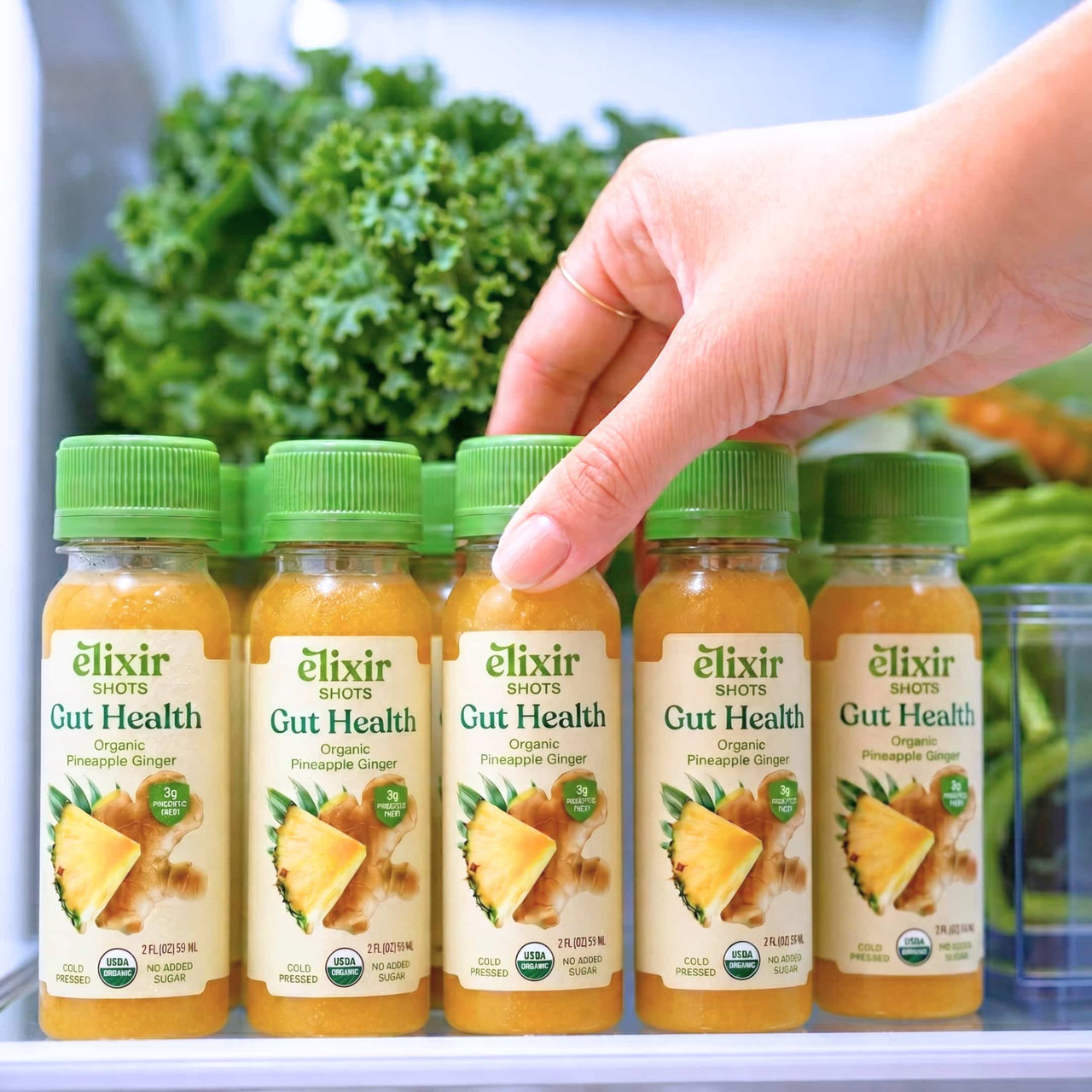 Gut Health